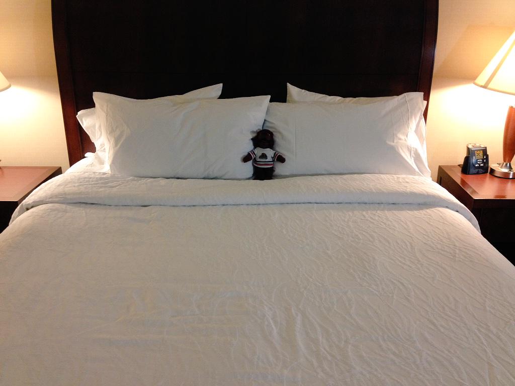 KarenAKennison's tweet photo. #MaxCBear is resting up for his big #audition tomorrow for #CraneSchoolOfMusic. #Crane #pdam2019 #PDAMAdmissions http://t.co/9eShNL9Kbz