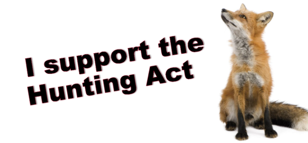 Protect_Wldlife's tweet image. RT If You Agree! I support the Hunting Act. #FoxHunting has no place in a civilised society!#KeepTheBan @rickygervais