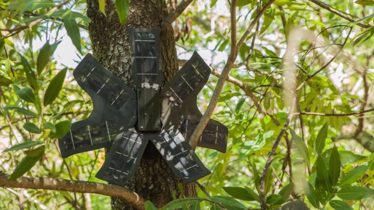 A new use for your old cellphone — detector for illegal rainforest logging: on.ted.com/c0jzU