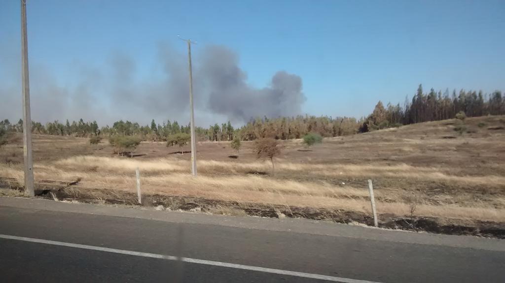 HECTORGFLORESS's tweet image. Uno de los tantos incendios forestales en km. 412  ruta 5 sur @biobio