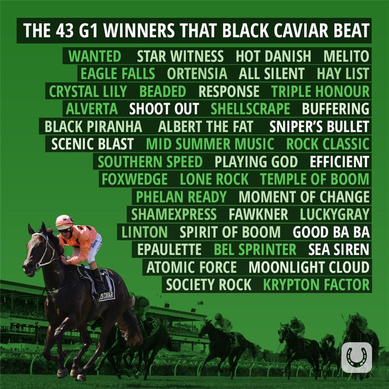 84 G1's between them... A handful of stayers feature but still a pretty handy list of scalps for <a href="/blackcaviar2006/">Black Caviar</a>!
