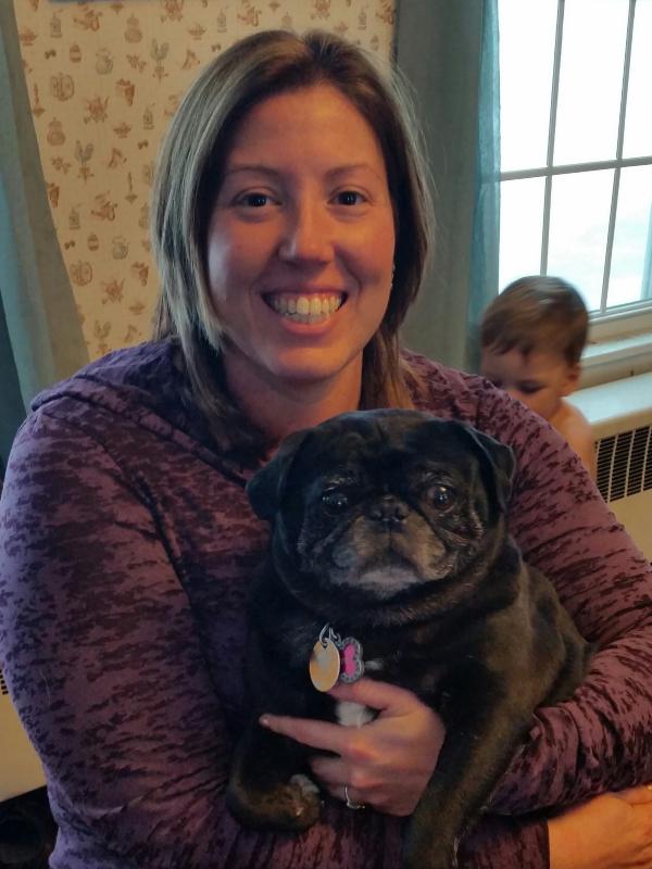 Green Mtn Pug Rescue tweet media