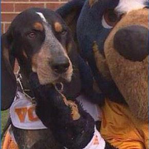 FishPondTAMU's tweet photo. When you win an award you know you shouldn't have won #FinebaumBestInShow @finebaum http://t.co/pUG4PG9LP3