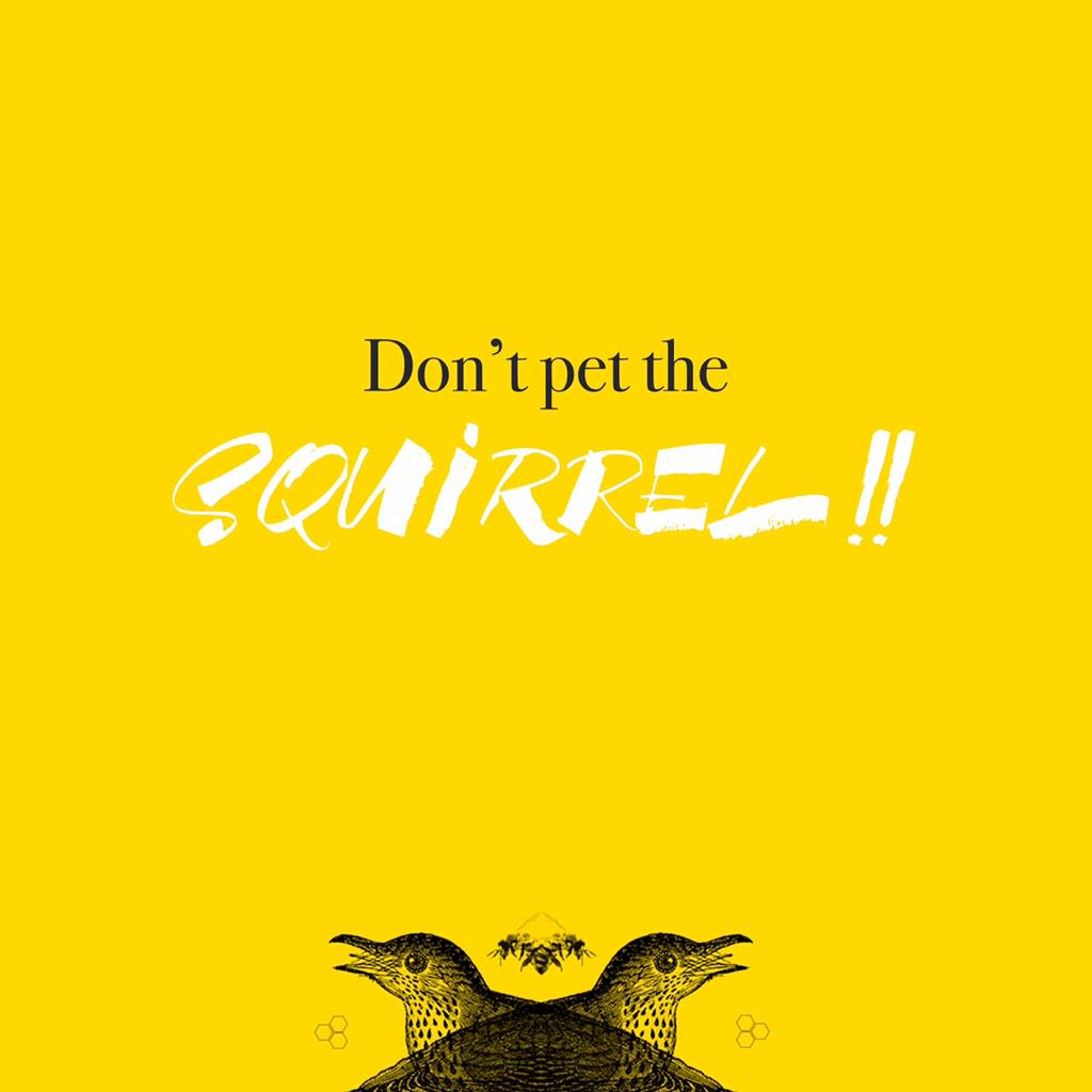 SwitchTulsa's tweet photo. What a great finish to #thetalk tonight at #switchtulsa! Remember...#dontpetthesquirrel http://t.co/dX3epOmi8H