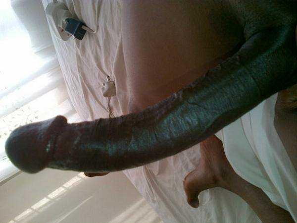 Pictures Of Longest Dick 67