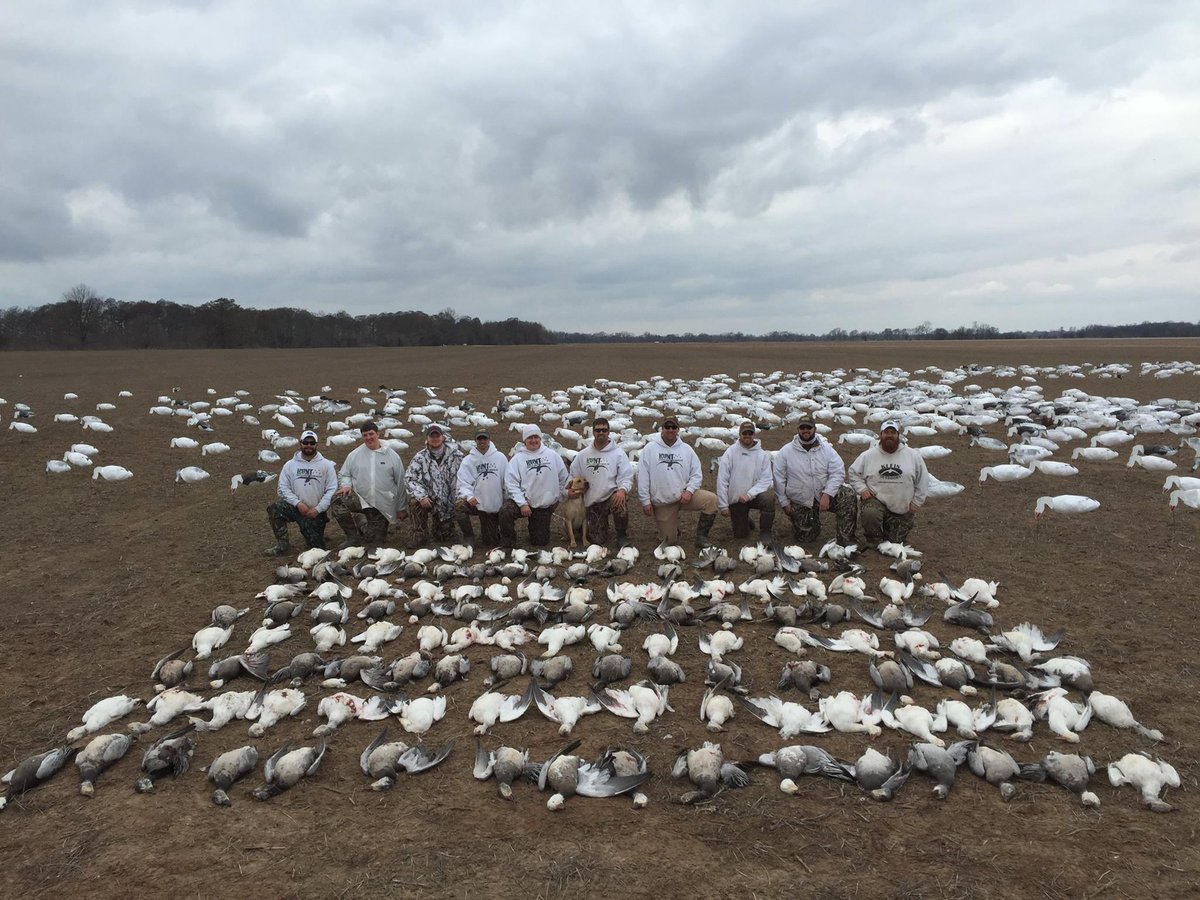 HuntAddictions's tweet image. MIGRATION REPORTS! Follow the link to get updated on the spring snow goose migration! #hunt

huntaddictions.com/forums/viewfor…