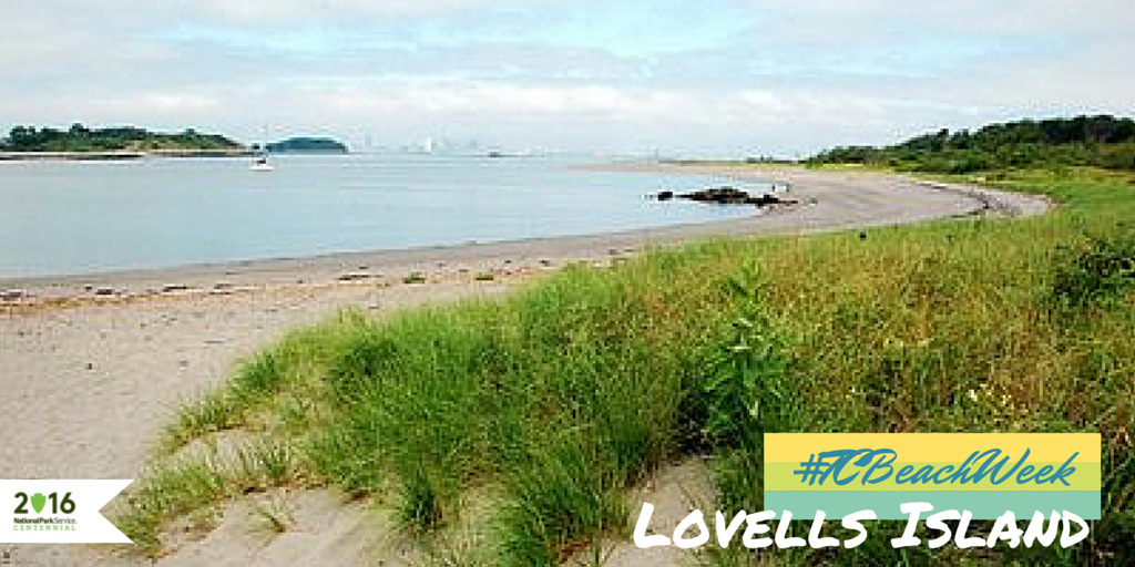 YourIslandPark's tweet photo. We may be buried in #BOSnow, but dreaming of spectacular beach @MassDCR Lovells Island @travelchannel #TCBeachWeek. http://t.co/JUO2mbz5LR