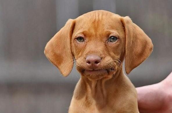 GiggIes16's tweet photo. Waiting for WCPSS like http://t.co/wPW6crdmhT