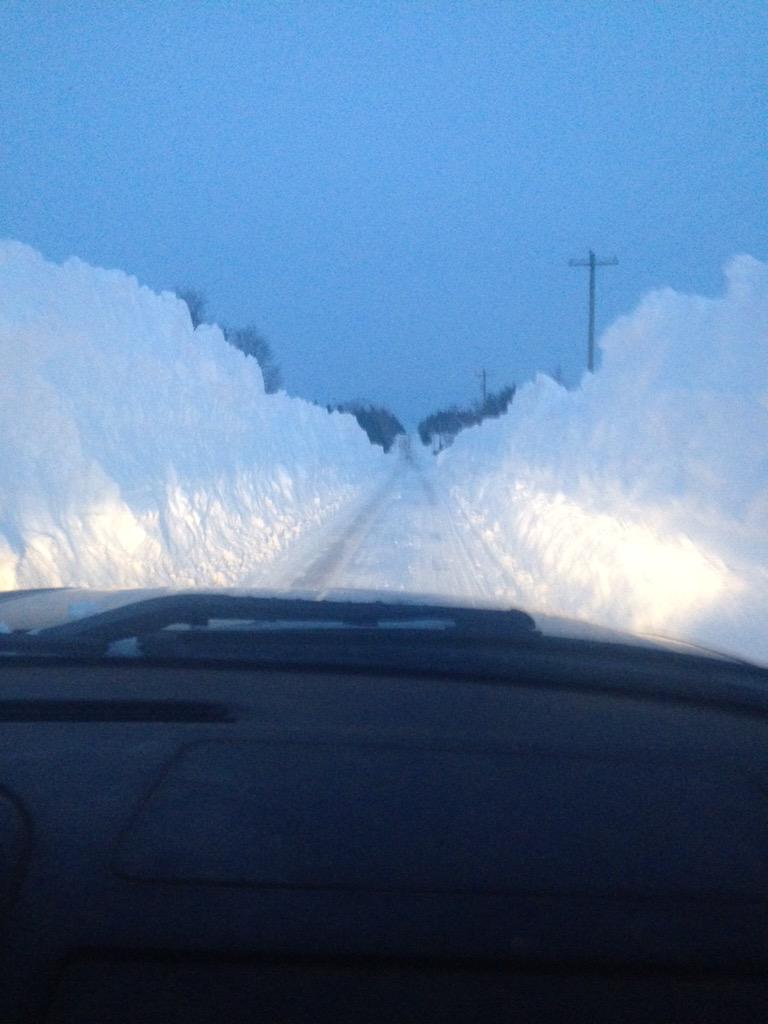 COWSICECREAM's tweet photo. Seeing lots of #CowPaths across PEI these days! #snowproblem #Snowmageddon2015 http://t.co/8cYh4S4AGj
