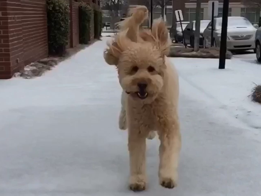 wcnc's tweet photo. CONFIRMED: The best viewer weather videos this week http://t.co/42Lhf8E3bv #CLTwx #NCice #snOMG http://t.co/s9ZNXJcigL