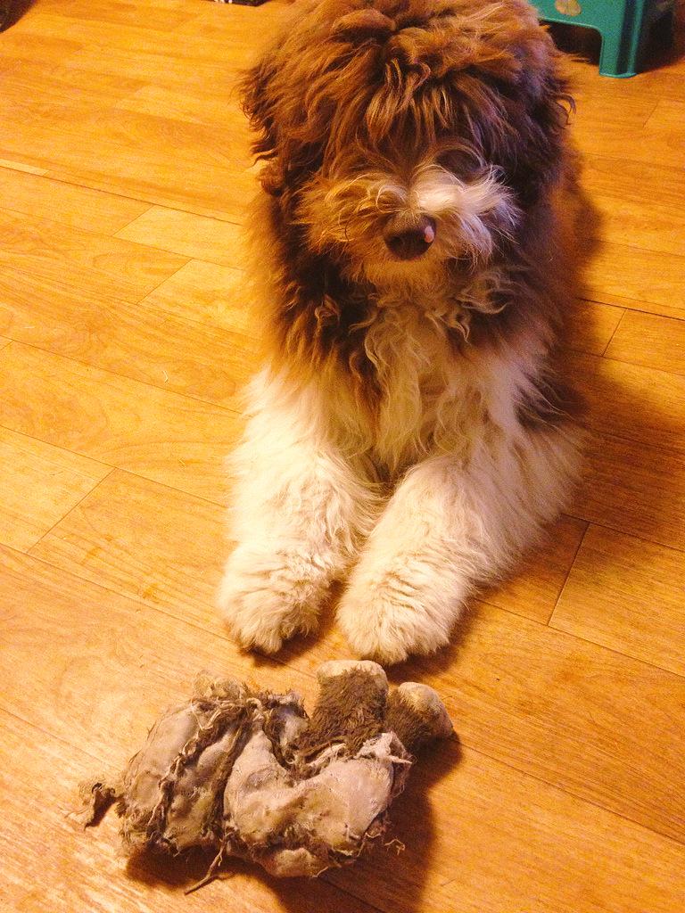 새해 福 많이 많이 받으세요~
세뱃돈 말고 인형 사주세요~~^^