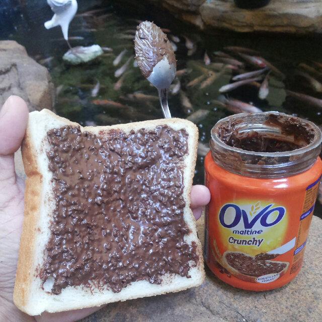 BochaTamla's tweet photo. Sumpah yg satu ini enak banget!!! Untung gue gak gampang gendut, lanjuttt men!!! #ngemil #ovomaltine #crunchy (y) http://t.co/1lG6aDFHaT
