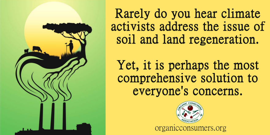 OrganicConsumer's tweet image. Learn how healthy soil can help us reverse #climatechange and heal the planet! ow.ly/JhVwj