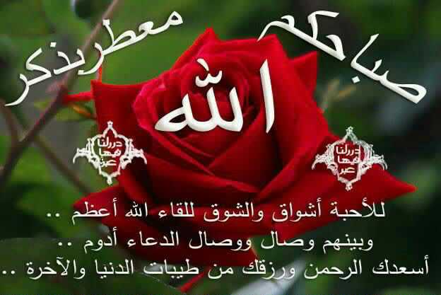 احمد الخالدي (@51712981688e47a) on Twitter photo 