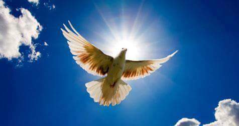 LawSam4's tweet image. 