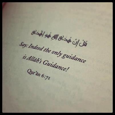 LearnIslamApps's tweet image. Say: Indeed the only #Guidance is #Allah's guidance! #Quran 6:71