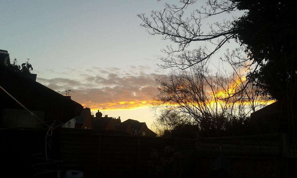 saaraajaynee94's tweet photo. @getreading Gorgeous sunrise this morning by Reading University 😊 http://t.co/orO7dUY2lp