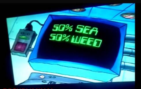centeredsponge tweet picture