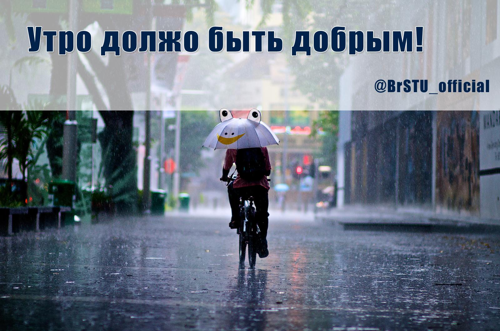 Картинка всем хорошего дня несмотря на погоду