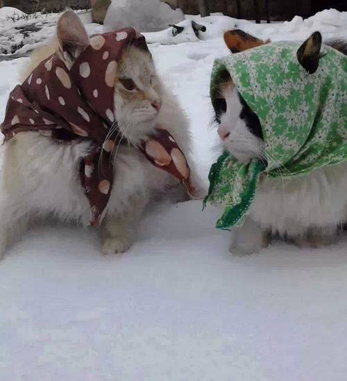 PeshawarX's tweet photo. Happy Rainy Day .. 
#Peshoo #Pishoo #Peshogay #Peshogai @Peshogay @Peshogai @ItsMashuPesho http://t.co/5j9YKdBKPN