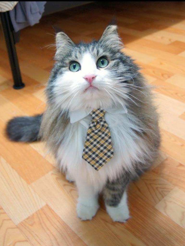 Hi ho hi ho...have a great day!