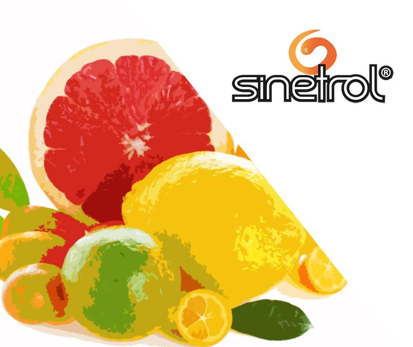 AmixOfficial_'s tweet photo. #Sinetrol fรณrmula patentada que ayuda a reducir la grasa, facilita el proceso digestivo y reduce el apetito
#AMIX http://t.co/ARGYRtBksF