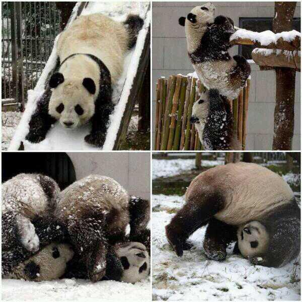 KAR YAĞINCA BEN (TEMSİLİ)