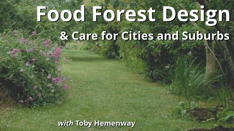 Food Forest Design &amp; Care for Cities and Suburbs bit.ly/1iUrcpE # design