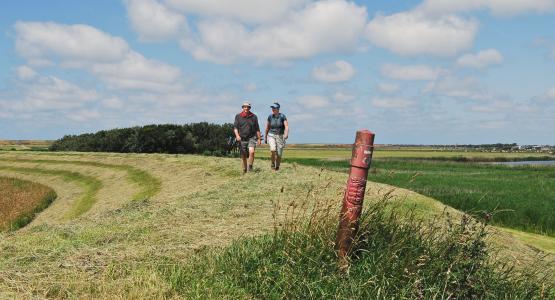 VVVHartvanNH's tweet photo. RT @hetgrootslag1: Nwe #wandelroute: het Groot-Frieslandpad met etappes bij ons in de buurt: http://t.co/AoTBVLoBs4 http://t.co/GomtYcF0B6