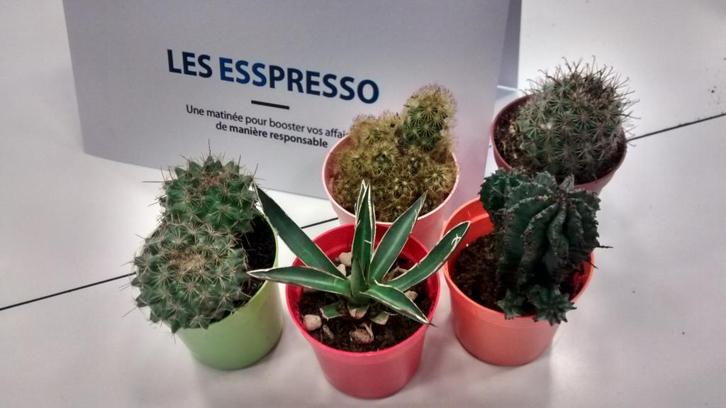 jadopteunprojet's tweet image. Premiers ESSPRESSO 2015 ! @CressPch @poitiers_jeunes @CRGE_PC @VideoTrack