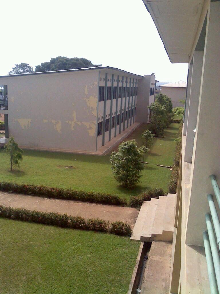 Sika Henry tweet media