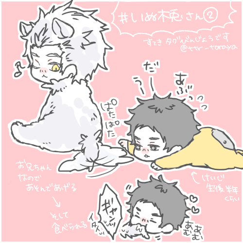 #いぬ木兎さん  ←こちらの素敵タグに再び便乗;;子犬木兎さんと赤ちゃん京治いいなって…思っ… サーセン!!! 