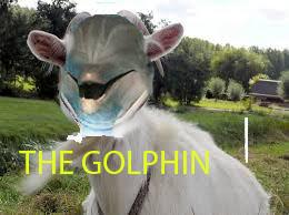 failhardgaming's tweet image. THE UNHOLY CREATION BETWEEN DOLPHIN AND GOAT I GIVE YOU THE GOLPHIN