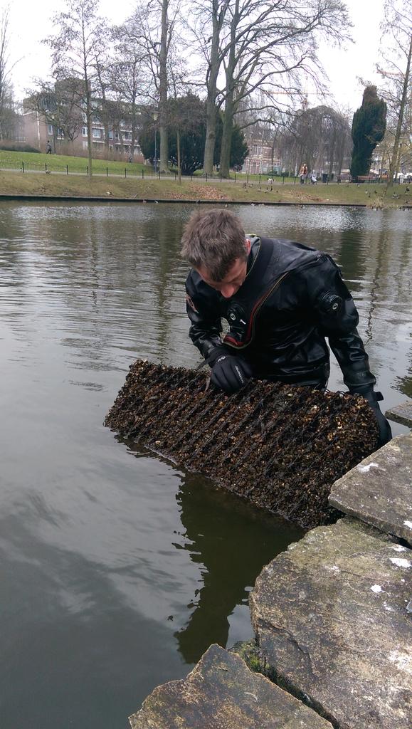 DutchWaterTech tweet picture