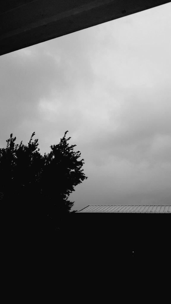 MsKatJane's tweet image. Looking glum this morning in #Rockhampton #bigwet #TCMarcia