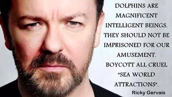 OP_Society's tweet image. RT if you agree with @rickygervais that dolphins should be wild &amp;amp; free! #EmptyTheTanks