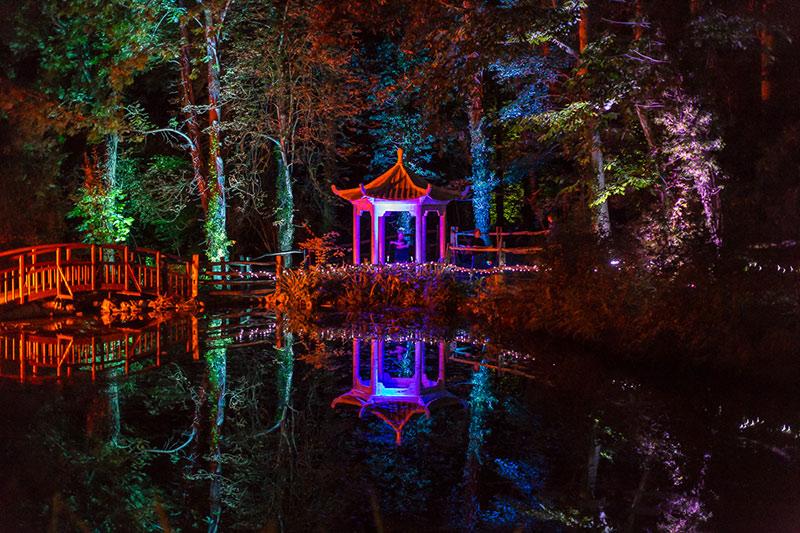 Bring in the Chinese New Year tonight with an illuminating experience at Spirit of the Orient  bit.ly/1CJf5WQ
