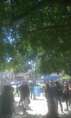 Ver imagen en Twitter