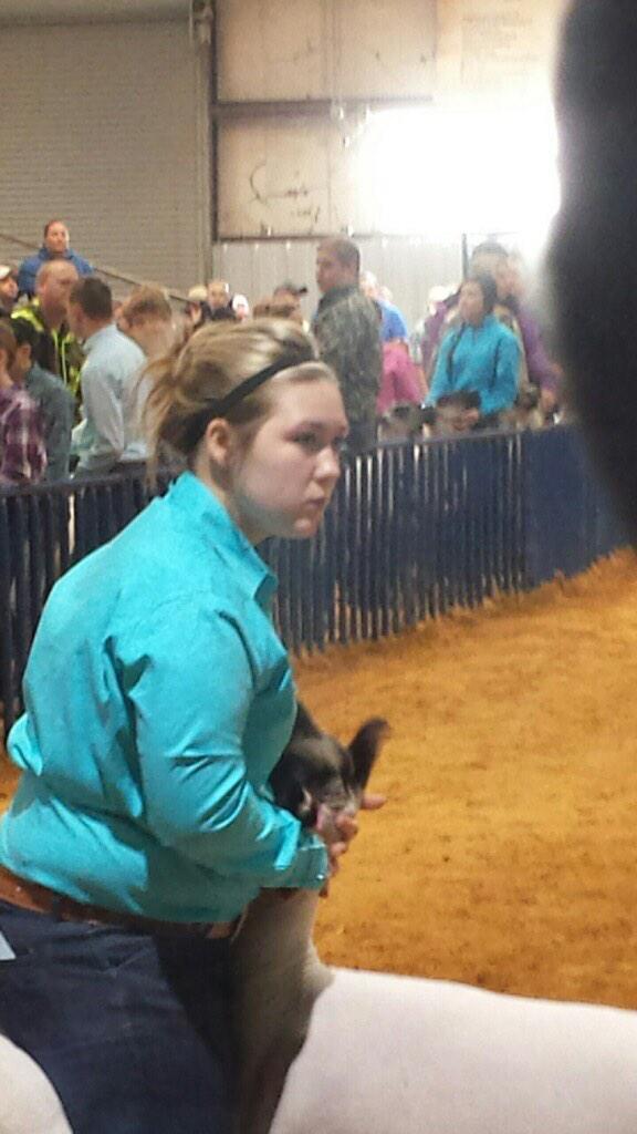FranklinISD's tweet photo. Bailey showing her market lamb at San Antonio. #FHSAg http://t.co/ci04WeakhC