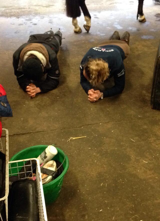 JodieAEventing's tweet image. Team Amos hard at work #corestrength #plankoff