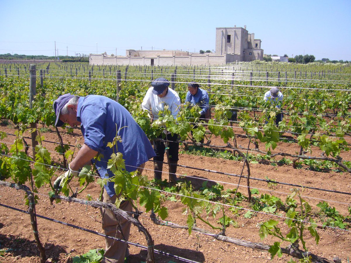 Con il nuovo blog #Carvinea vuole farsi conoscere in modo più semplice ed accessibile

carvinea.com/blog/