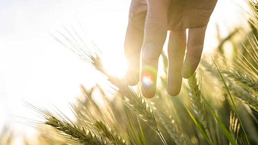 7 Lessons About Life and Business Learned Again as My Wife's #Caregiver ow.ly/JjZL2