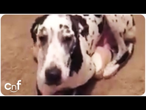 Squeebles tweet media