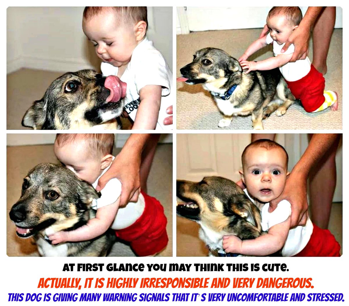 PetSafe's tweet image. Do your human &amp;amp; fur children not get along? Check out Can Aggressive Pets &amp;amp; Kids Live Together? 2PM today @ #WVC2015.