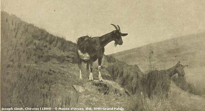 新年快乐! 
Joyeux Nouvel an chinois !
Happy Chinese New Year!