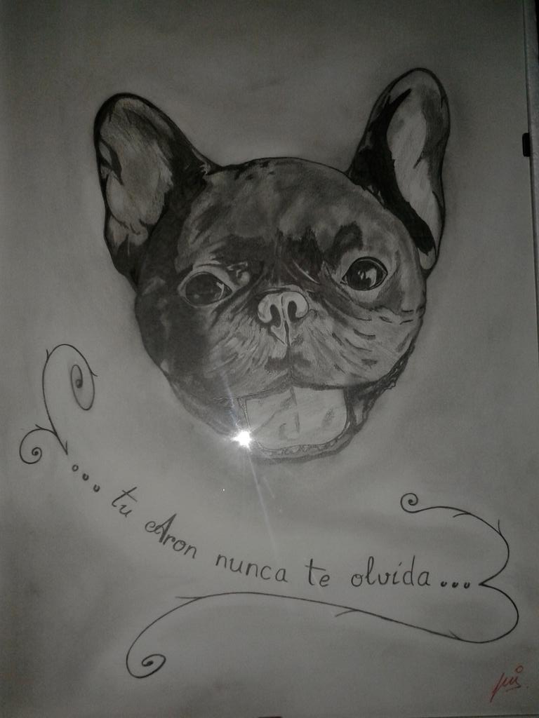 isaias_gordito's tweet photo. Otro encargo terminado http://t.co/9nf7i7oF0i