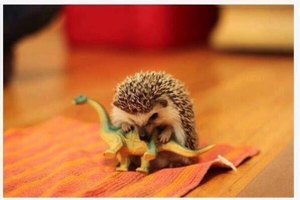_Paisajes_'s tweet photo. La verdad de cómo se extinguieron los dinosaurios. http://t.co/5iJIsBHeYg