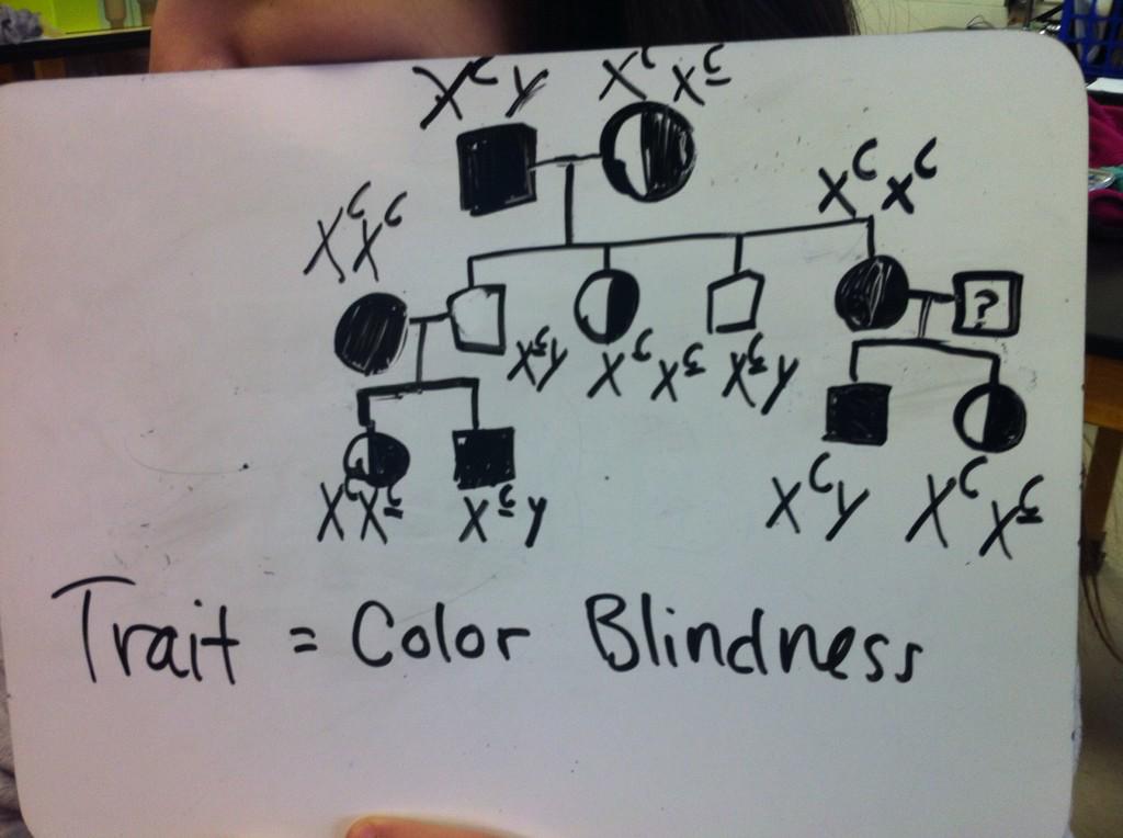 paull_lhs's tweet photo. #pedigreepuzzle #ballhr4 @netherhuntr @sofia_lhs http://t.co/h0EdEYeHuh