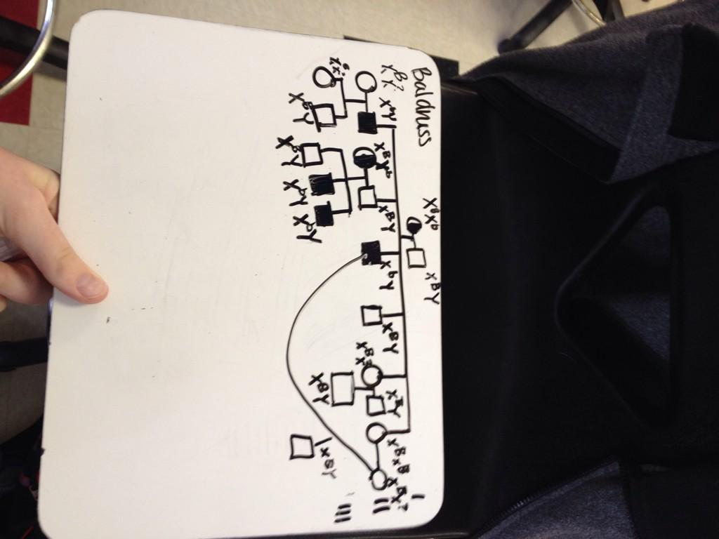 ChrisC_lhs's tweet photo. @Mia_Lane_ @vancew_lhs @laurias_lhs #ballhr4 #pedigreepuzzle http://t.co/dVcyp04Xxx