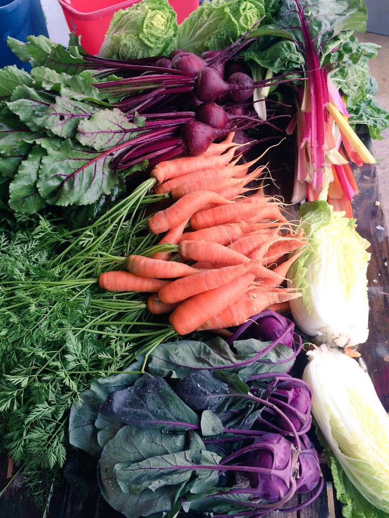 PharrmersMarket's tweet photo. Kohlrabi, carrots, Swiss chard, and kale! Yum, yum, yum! Don't forget to swing by the Pharrmer's Market! 4-7! http://t.co/O2cpQWyyOA